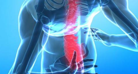 physical therapy for back pain