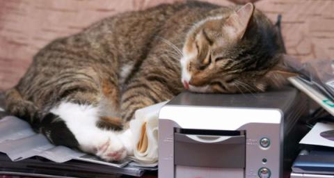 It's a cat scan...get it?