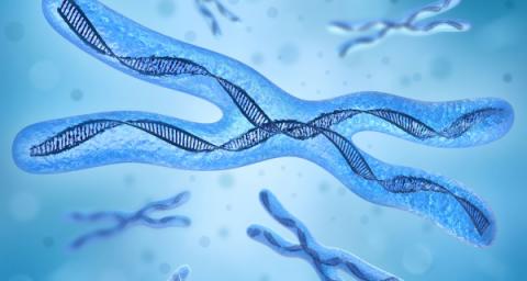 Adoption: 13q Deletion Syndrome