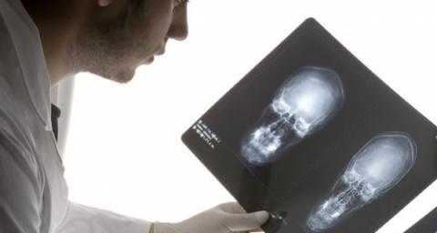 The Light at the End of the Tunnel