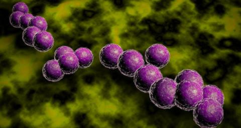 vacation staph infection