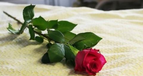 The Rollercoaster; My Mother's Last Days