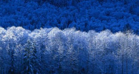 fibromyalgia a fake?