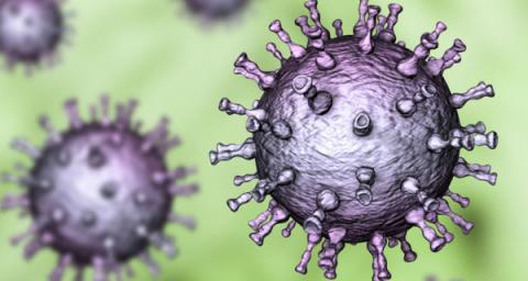 You've Got Shingles!