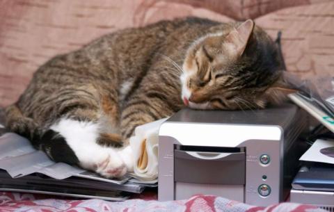 It's a cat scan...get it?