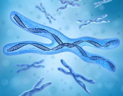 Adoption: 13q Deletion Syndrome