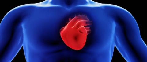 Atrial Fibrillation and Mortality