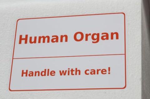 liver transplant experience hepatitis C