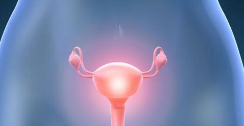 Endometriosis can I have children